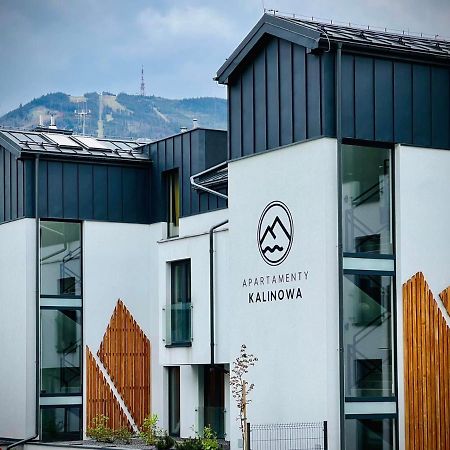 Apartamenty Riders Lodge Szczyrk Kalinowa Экстерьер фото